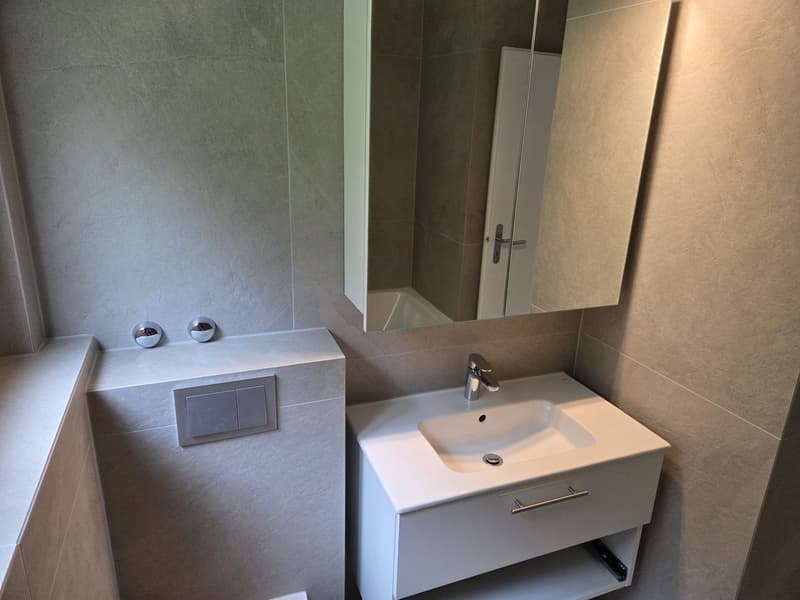 Appartement 4.5 pièces avec vue sur le lac à Neuchâtel (5)