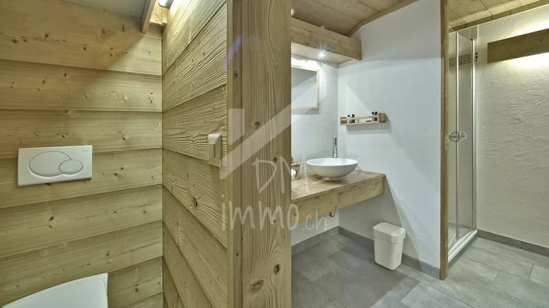 Charming Hotel Restaurant in Diablerets (8)