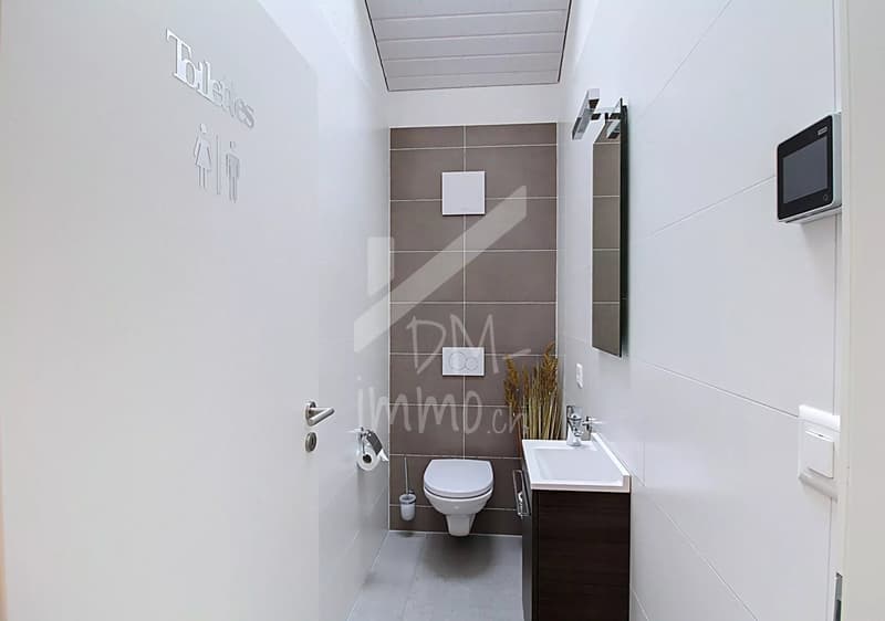 Magnificent attic 3.5 rooms + mezzanine (7)