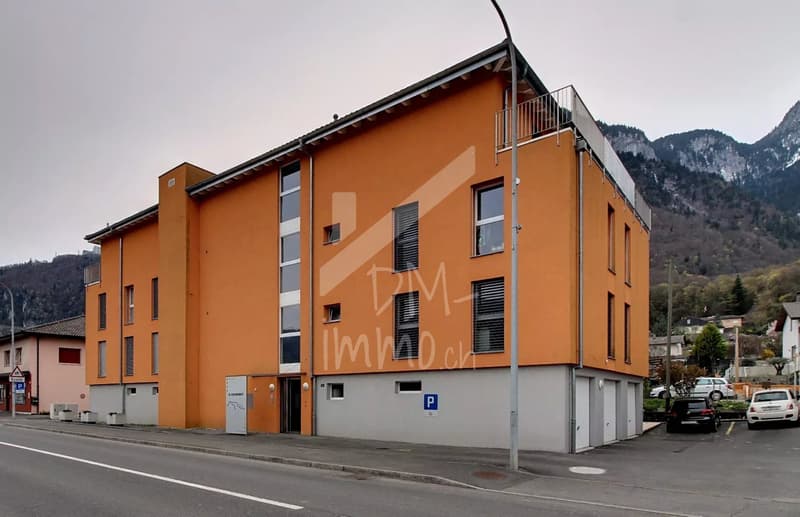 Magnificent attic 3.5 rooms + mezzanine (10)