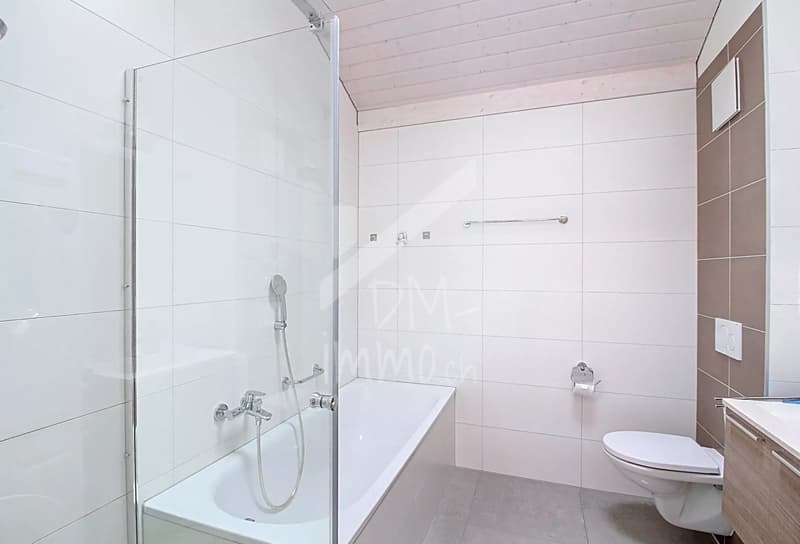 Magnificent attic 3.5 rooms + mezzanine (6)