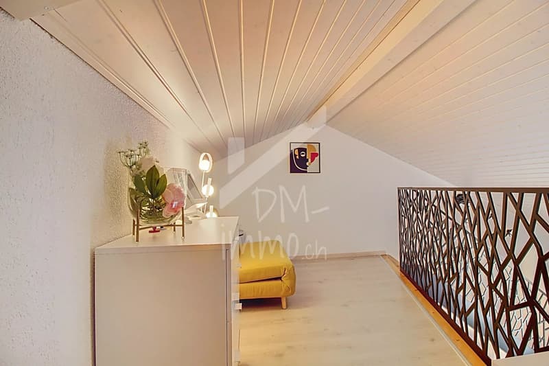 Magnificent attic 3.5 rooms + mezzanine (5)