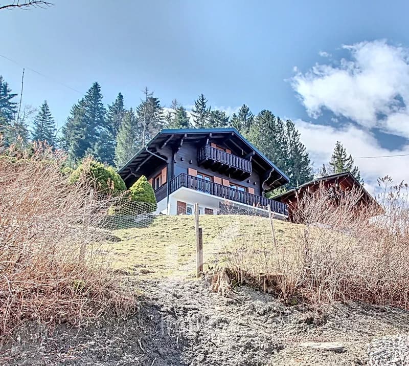 Magnificent renovated chalet with studio - Sale to foreigners possible (12)