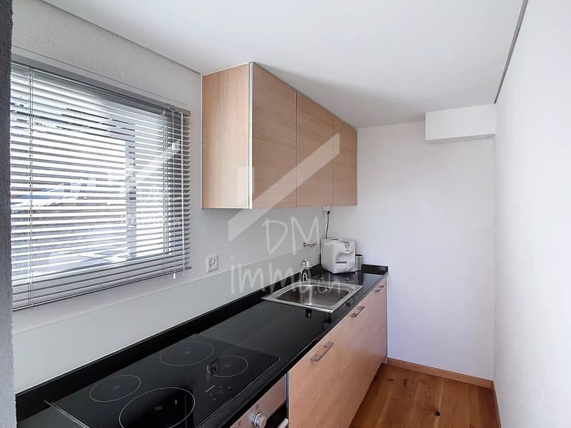 Appartement rez inférieur