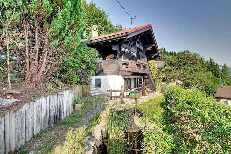 Chalet en madriers, vue lac Léman et montagnes - Vente aux étrangers OK (9)