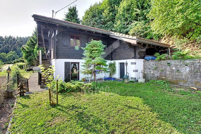 Chalet en madriers, vue lac Léman et montagnes - Vente aux étrangers OK (10)