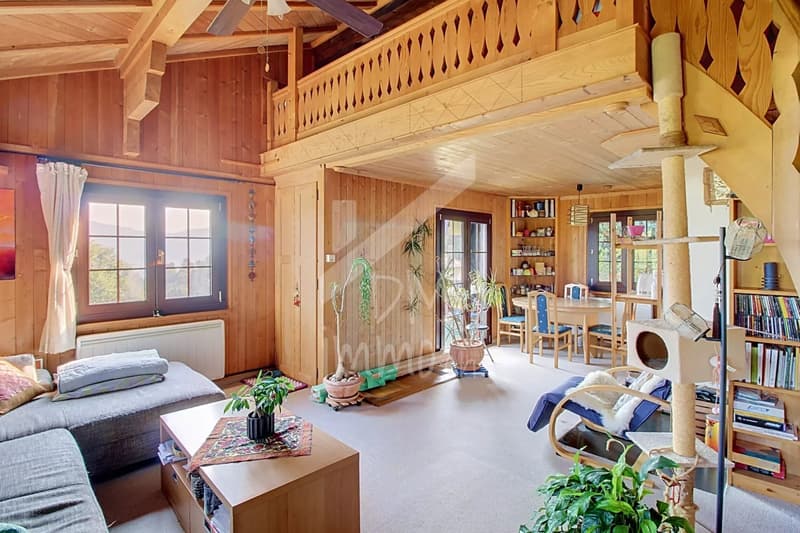 Chalet en madriers, vue lac Léman et montagnes - Vente aux étrangers OK (1)