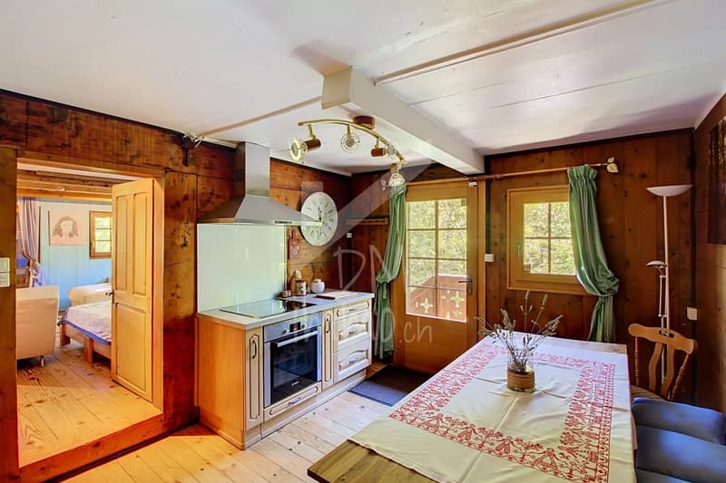 Un appartement plein de charme en peine nature (2)