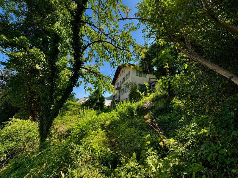 Charaktervolles Anwesen in landwirtschaftlicher Zone mit dominierendem Blick auf Sion (1)