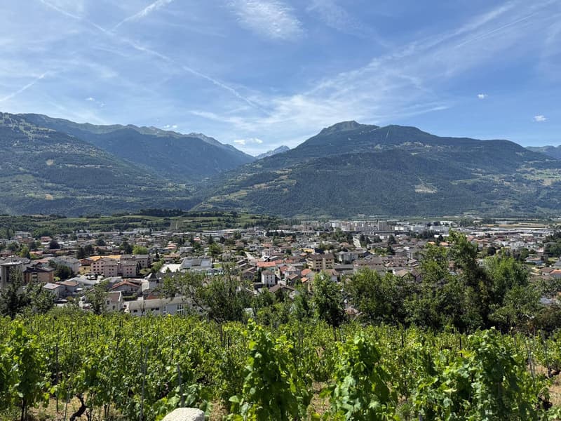 Rendement sur fonds propres : 15.9% (9)