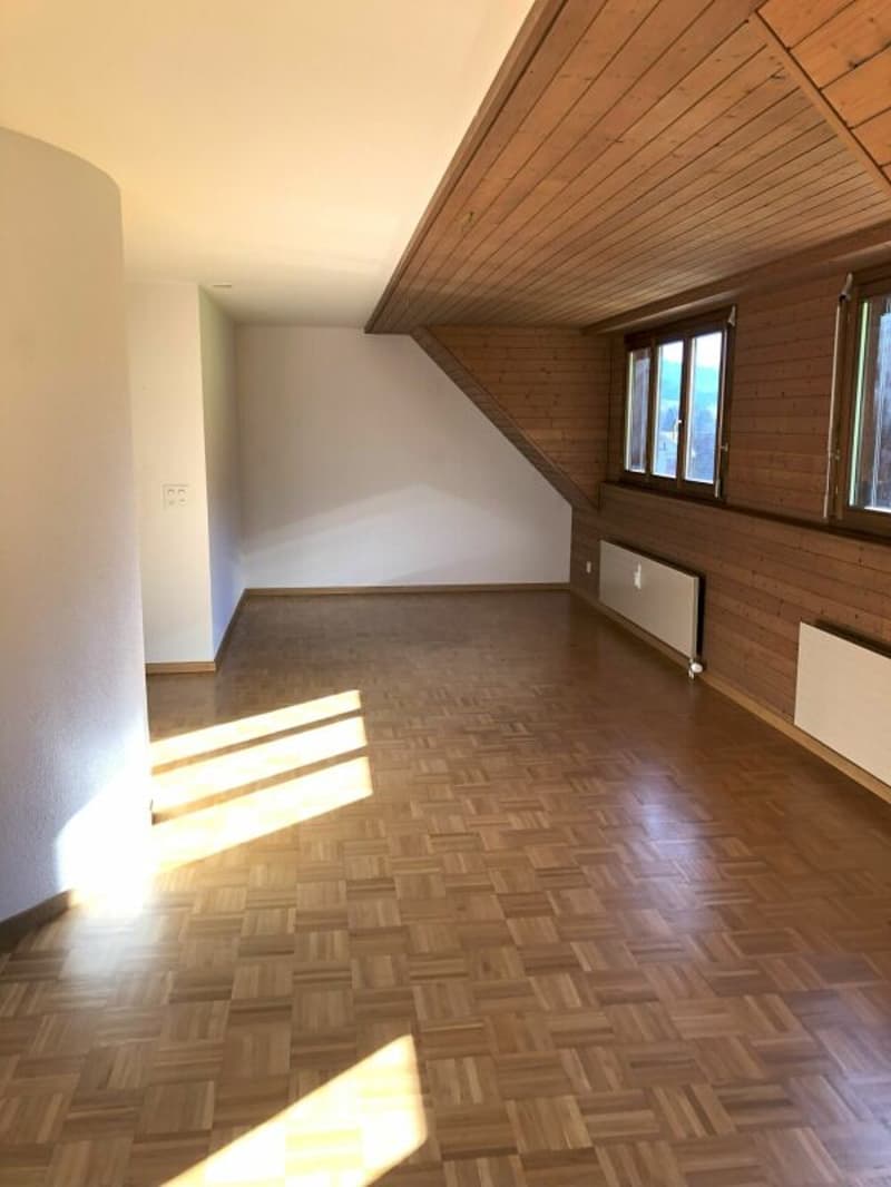 Il tuo mese gratuito ti aspetta!! Appartamento da sogno di 4,5 locali con vista (3)