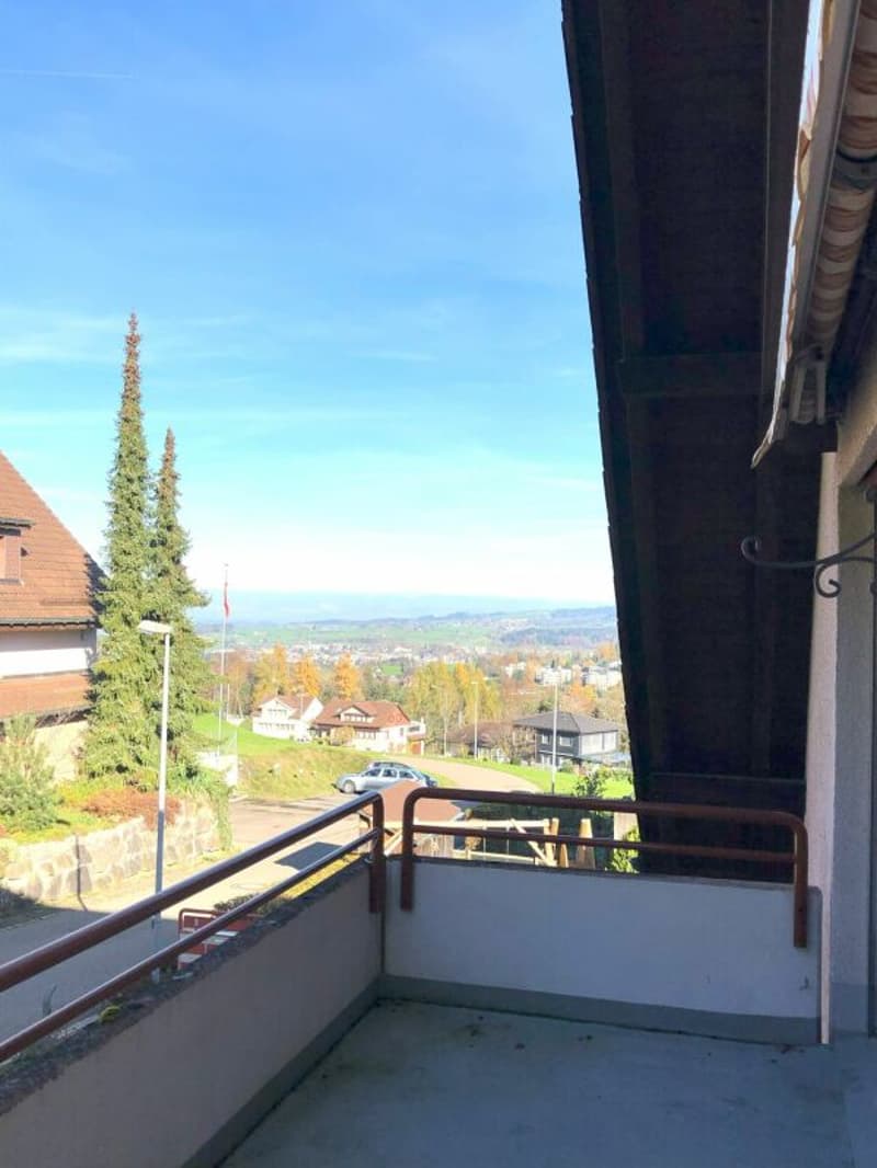 Il tuo mese gratuito ti aspetta!! Appartamento da sogno di 4,5 locali con vista (4)