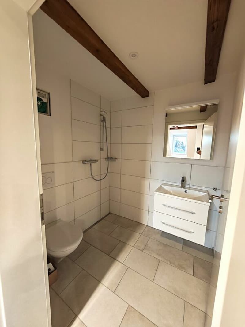 Appartement de 3,5 pièces fraîchement rénové (3)