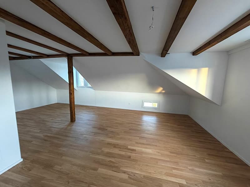 Appartement de 3,5 pièces fraîchement rénové (5)