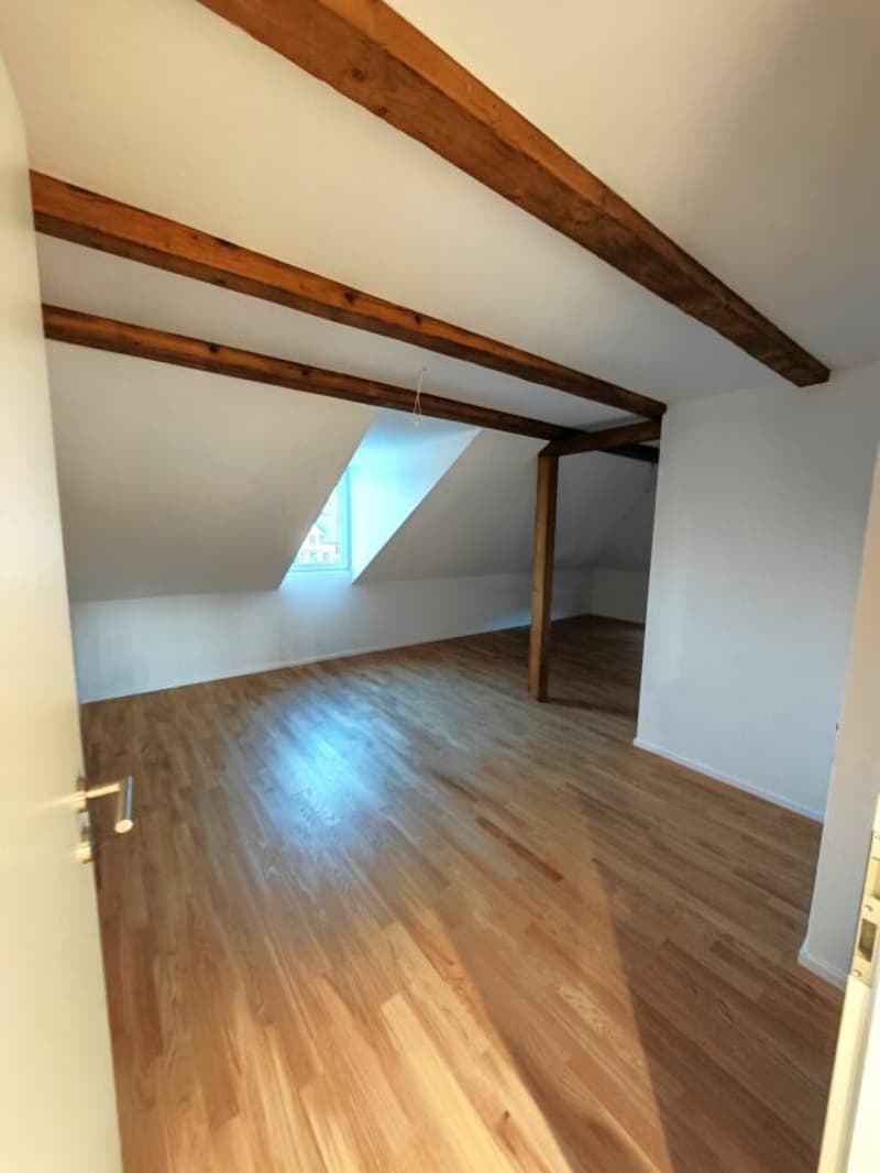Appartement de 3,5 pièces fraîchement rénové (4)