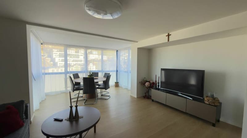 Bello appartamento di 4.5 locali (3)