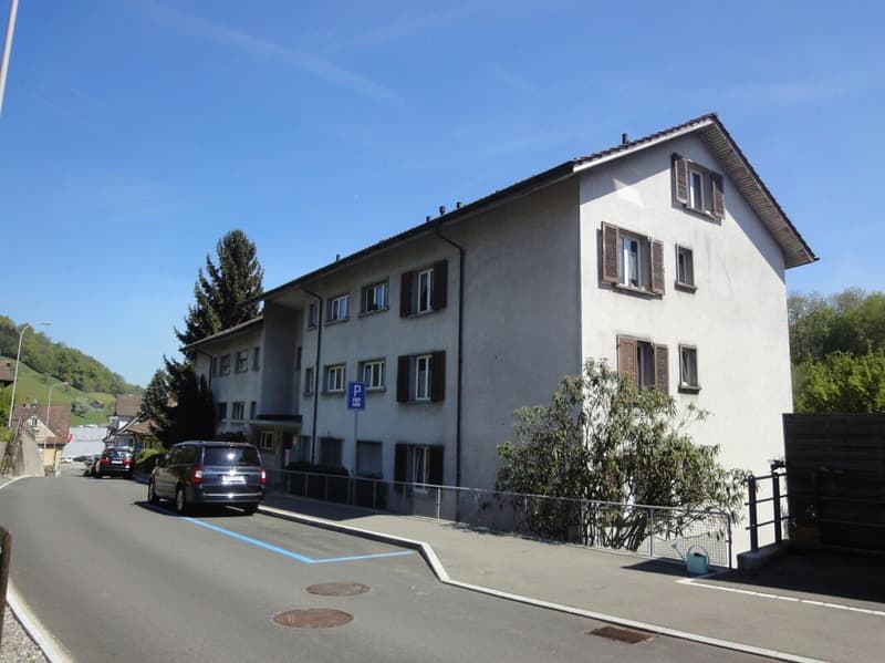 4.5 ZWG kernsaniert (1)