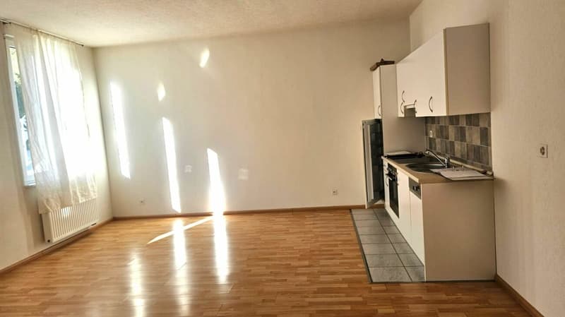 Beautiful 2.5 room apartment in a rural setting (3)