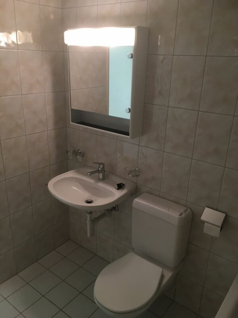 Cozy apartment with sunny balcony (6)