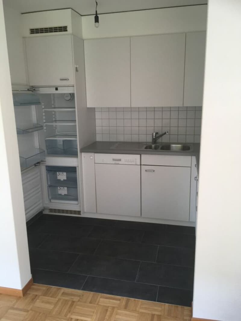 Cozy apartment with sunny balcony (4)