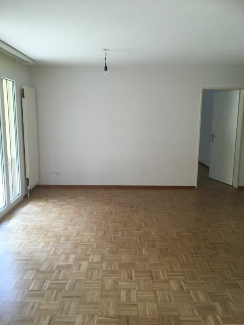 Cozy apartment with sunny balcony (7)