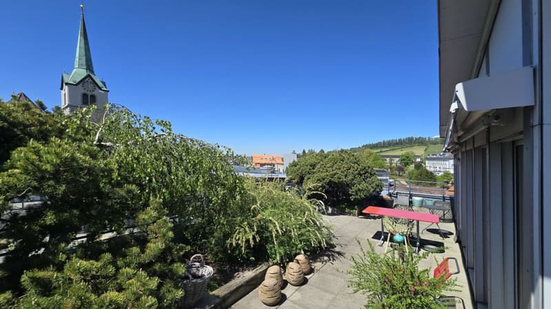 Exclusive 5.5-room attic apartment (1)