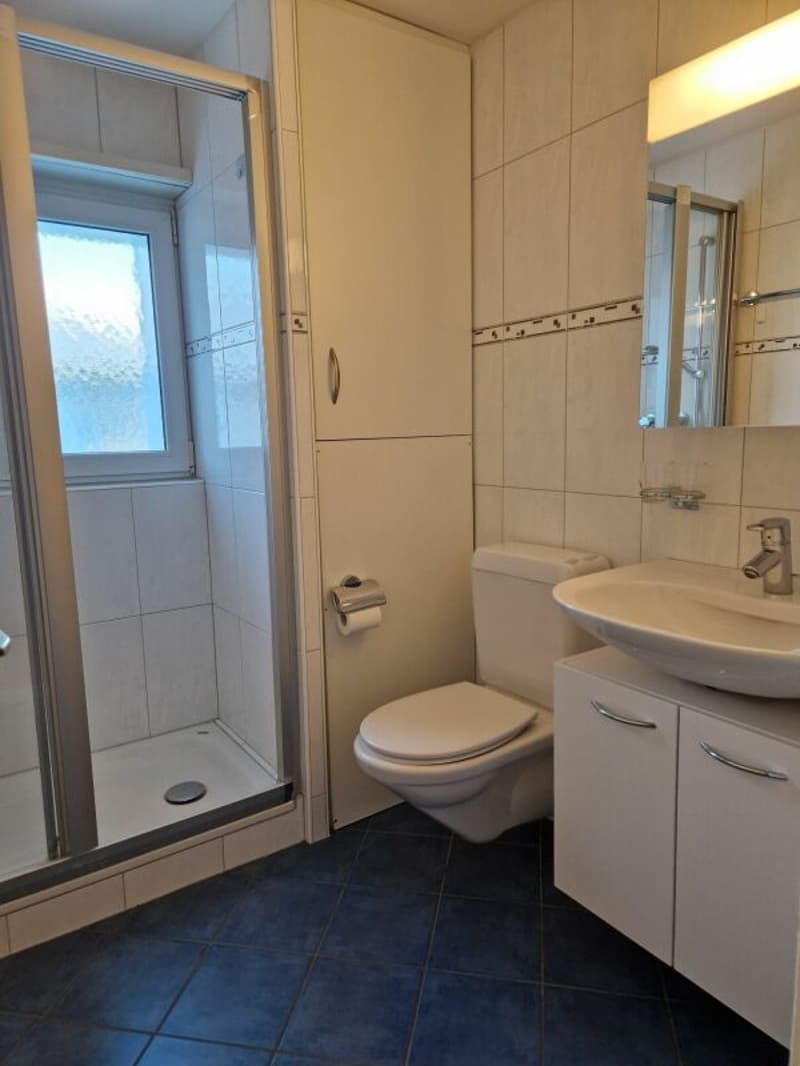 Votre nouvelle maison avec vue sur le Säntis ! (4)