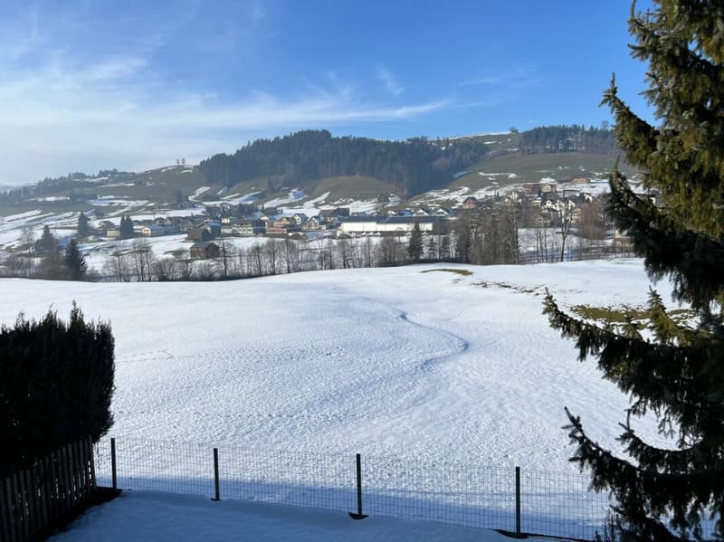 La tua nuova casa nel verde! (8)