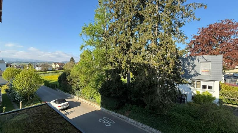 Bright 3-room apartment for rent in Arbon (2)