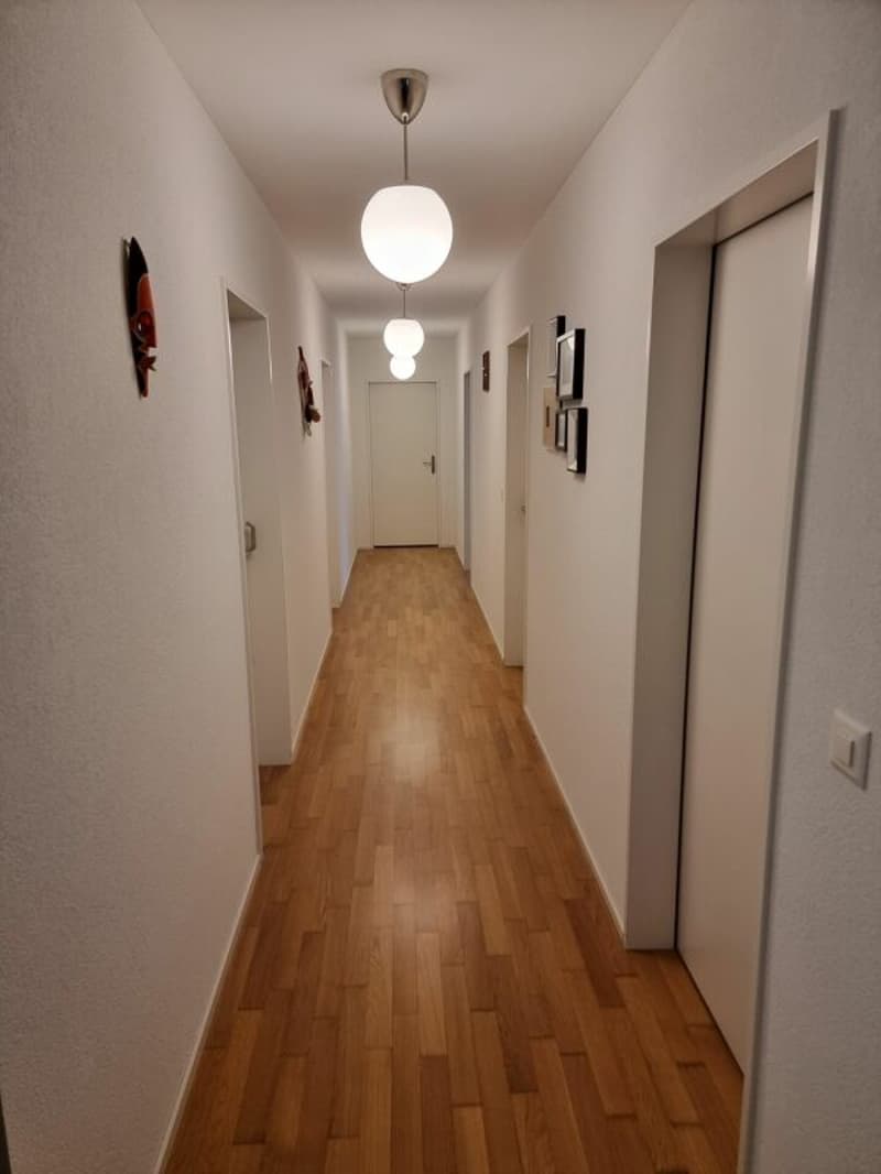 Habitez généreusement au cœur de Herisau! (5)