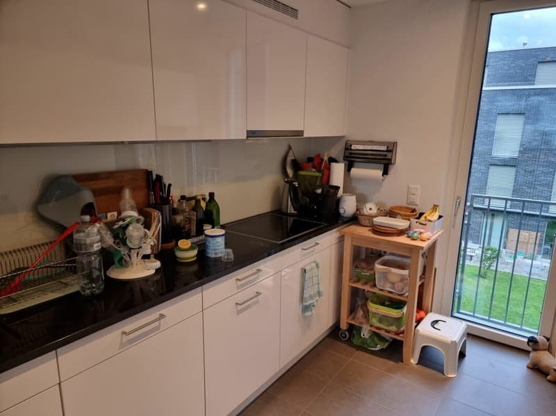 Habitez généreusement au cœur de Herisau! (2)