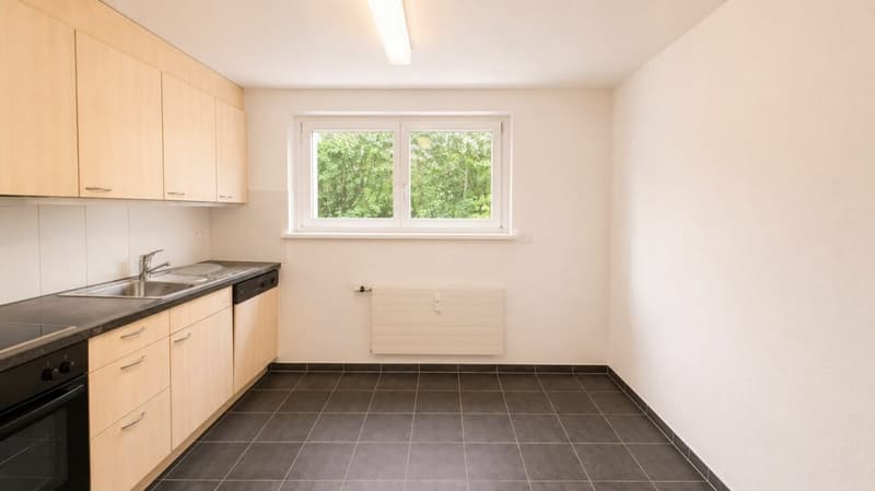 Bel appartement 4.5 pièces (1)
