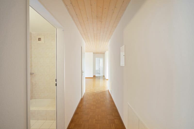 Gemütliche 4.5 Zimmer-Wohnung (2)