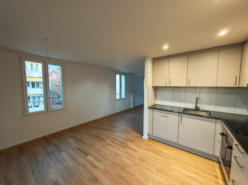 Frisch sanierte 2.5 Zi-Wohnung (2)