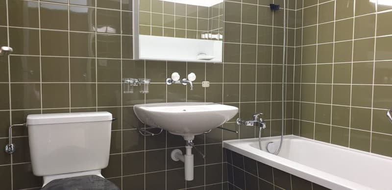 Wohnung sucht Single! (4)