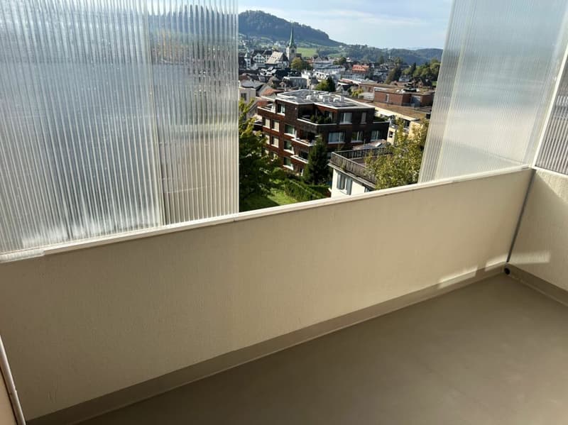Schöne gemütliche 3.5-Zimmerwohnung mit einer grossen Terrasse (13)