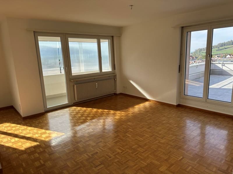 Schöne gemütliche 3.5-Zimmerwohnung mit einer grossen Terrasse (4)