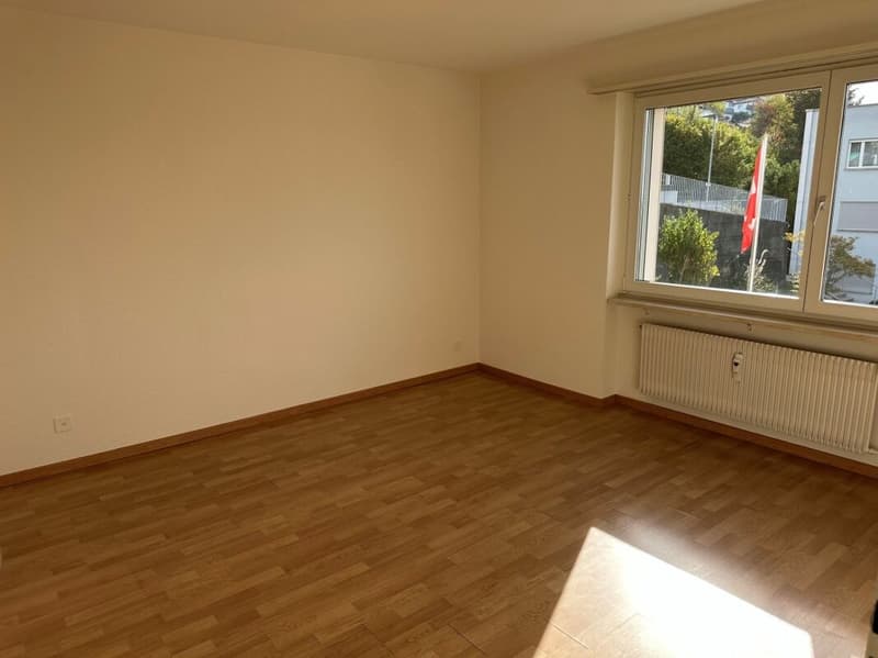 Schöne gemütliche 3.5-Zimmerwohnung mit einer grossen Terrasse (8)