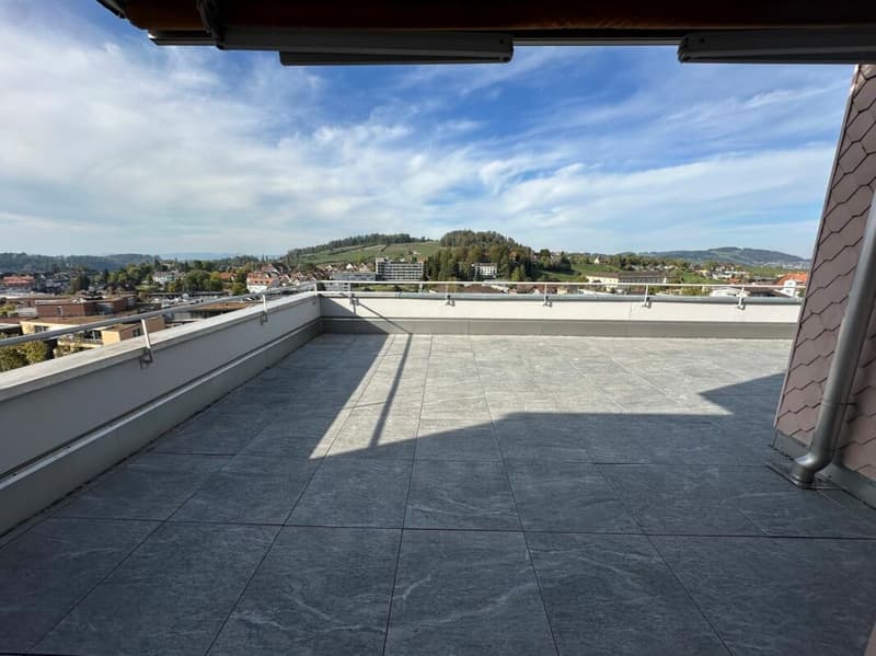 Schöne gemütliche 3.5-Zimmerwohnung mit einer grossen Terrasse (6)