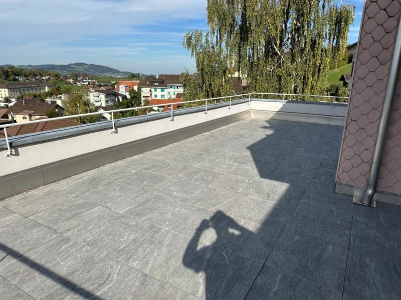 Schöne gemütliche 3.5-Zimmerwohnung mit einer grossen Terrasse (1)