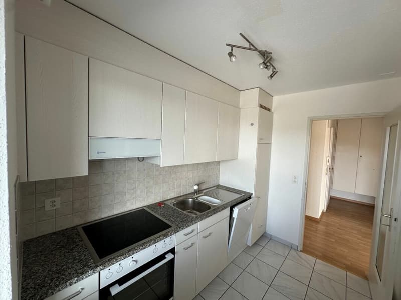 Schöne gemütliche 3.5-Zimmerwohnung mit einer grossen Terrasse (3)