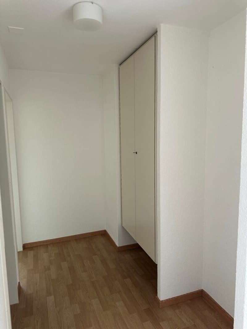 Schöne gemütliche 3.5-Zimmerwohnung mit einer grossen Terrasse (11)