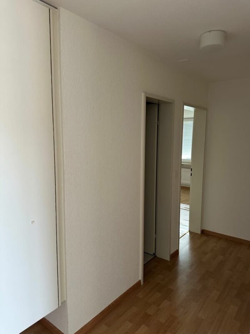 Schöne gemütliche 3.5-Zimmerwohnung mit einer grossen Terrasse (10)