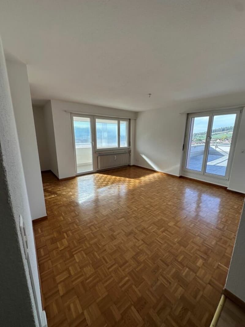Schöne gemütliche 3.5-Zimmerwohnung mit einer grossen Terrasse (15)