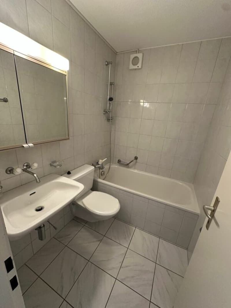 Schöne gemütliche 3.5-Zimmerwohnung mit einer grossen Terrasse (16)