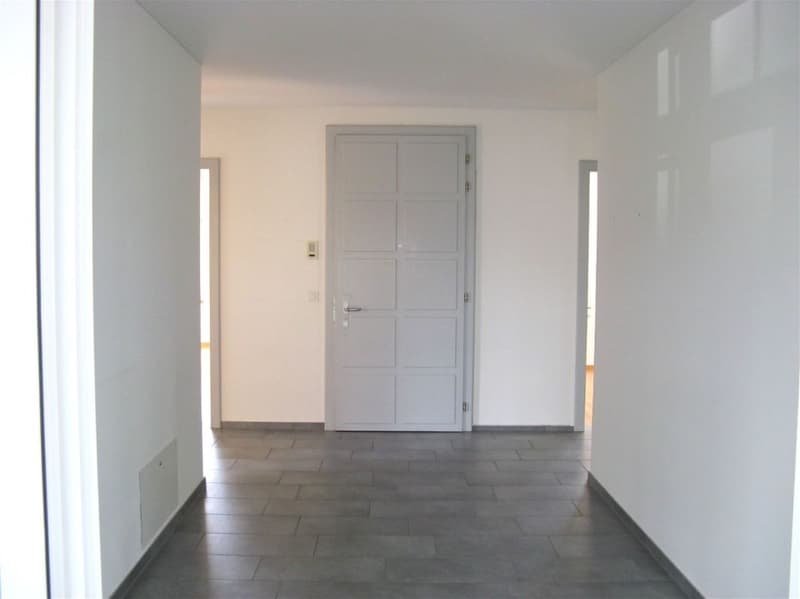Exklusive 4.5 Zimmer-Wohnung in Jugendstilhaus am Rosenberg (12)