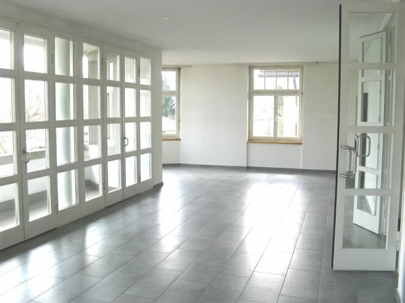 Exklusive 4.5 Zimmer-Wohnung in Jugendstilhaus am Rosenberg (2)