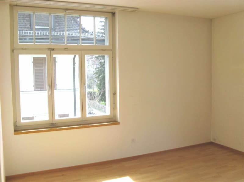 Exklusive 4.5 Zimmer-Wohnung in Jugendstilhaus am Rosenberg (9)
