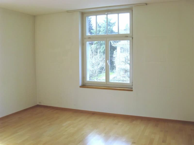 Exklusive 4.5 Zimmer-Wohnung in Jugendstilhaus am Rosenberg (8)