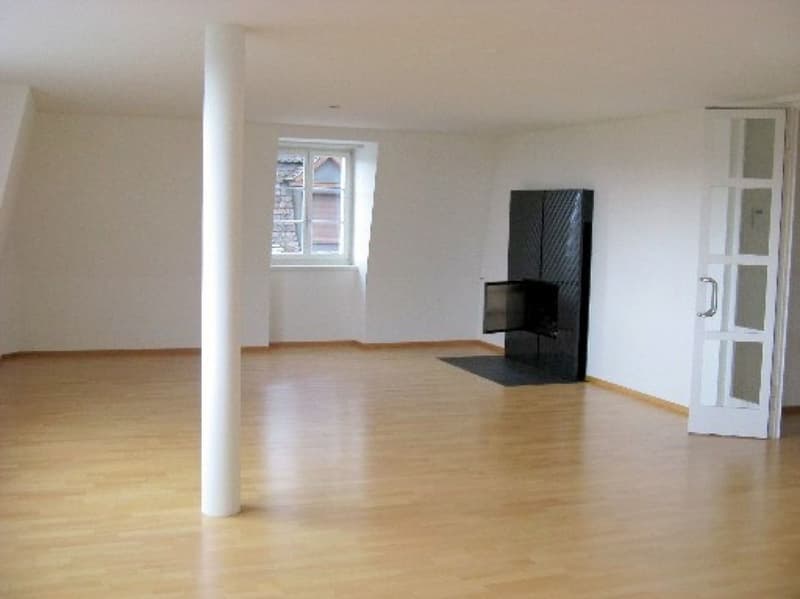 Helle und geräumige 3 1/2 Zimmerwohnung in Jugendstilhaus (5)